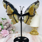 Large Volcano Agate Butterfly Wings UV Reactive on Stand 22cm