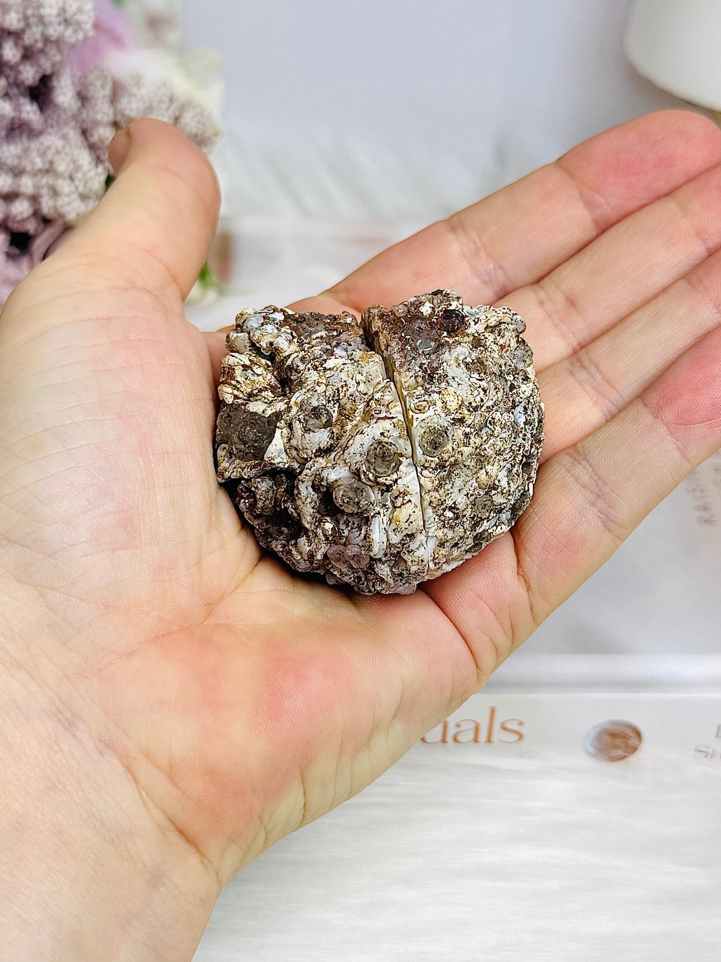 Natural Druzy Agate Geode Small