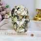 Large Money Agate Druzy Skull 751g