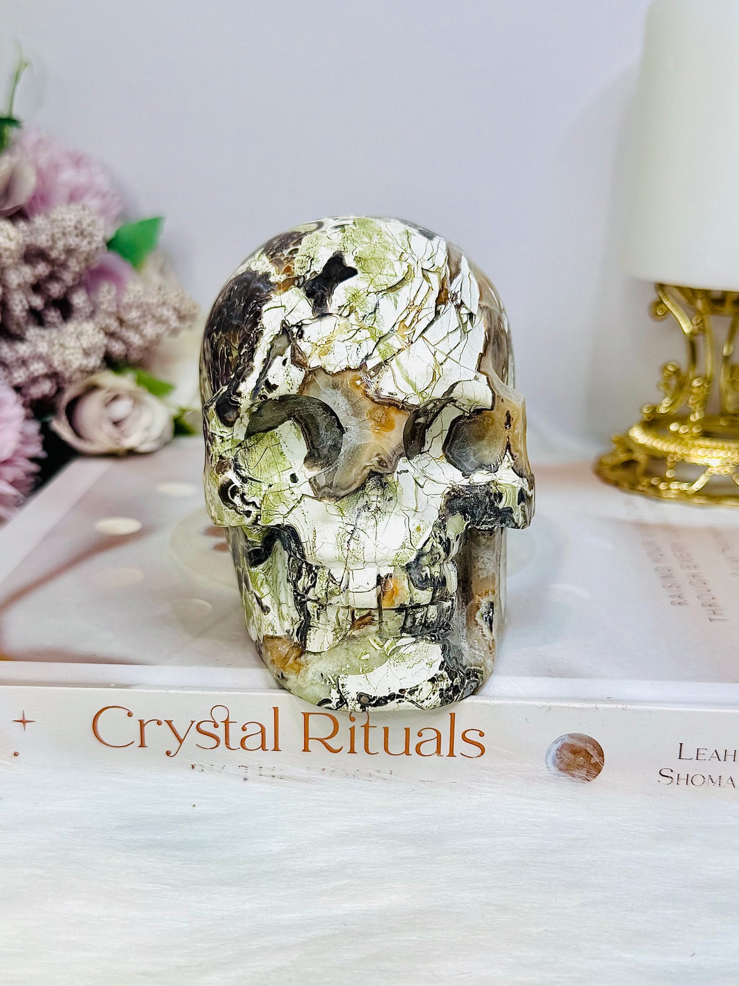 Large Money Agate Druzy Skull 751g