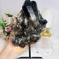 ✨ SALE ✨ Large Smokey Quartz Cluster On Stand From Brazil 2.09KG 22cm