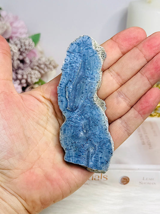 Natural Blue Coral Fossil Specimen Slab 10cm