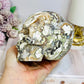 Large Money Agate Druzy Skull 751g