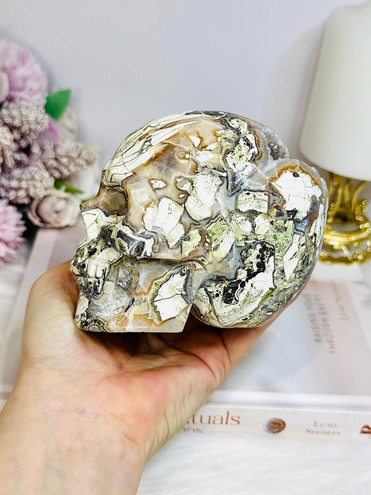 Large Money Agate Druzy Skull 751g