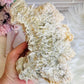 Large Natural Gypsum Selenite Specimen 21cm 578g