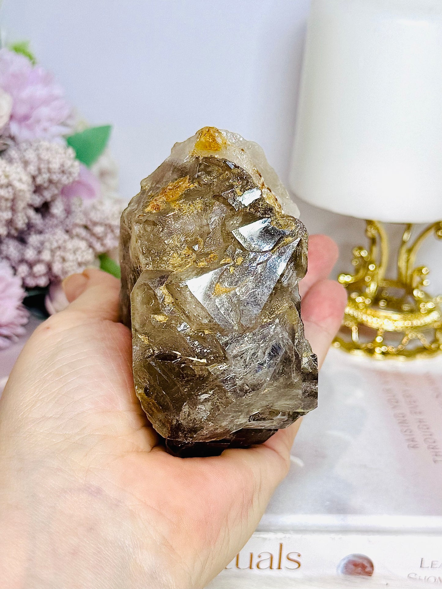 ⚜️ SALE ⚜️ Large Natural Elestial | Alligator Quartz Specimen 504g