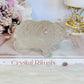 Chunky 11cm 359gram Clear Quartz Carved Bear