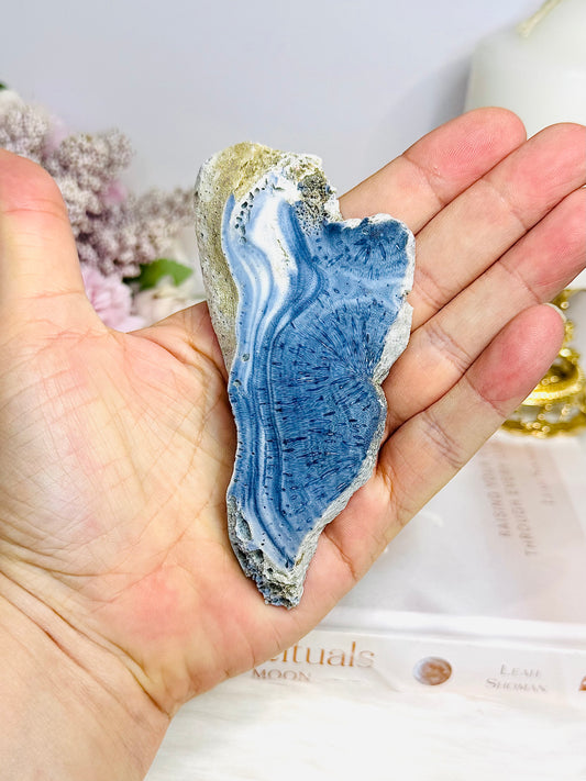 Natural Blue Coral Fossil Specimen Slab 11cm