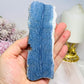 Blue Coral Fossil Specimen Slab 13.5cm