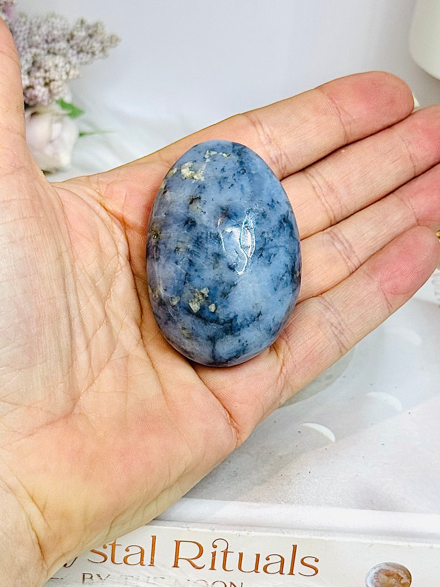 Blue Owyhee Opal Palm Stone (stand is display only)