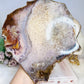 A Collectors Piece ~ High Grade Natural Pink Amethyst Druzy Slice | Slab with Gold Plating on Stand 24cm 689g