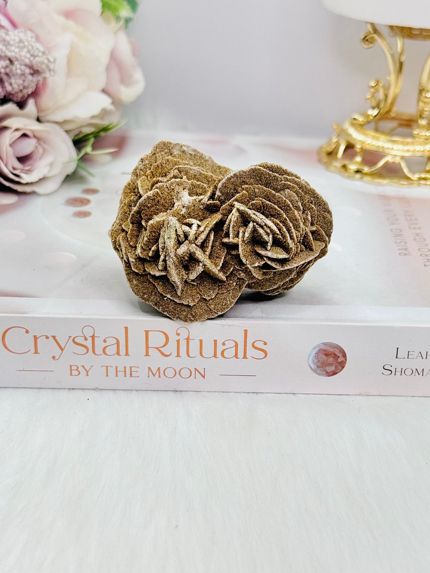 Natural Raw Desert / Gypsum Rose Specimen