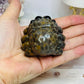 Ocean Jasper Spider Carving 5cm