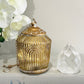Glass Lantern Led Linear Gold/wash 15cm