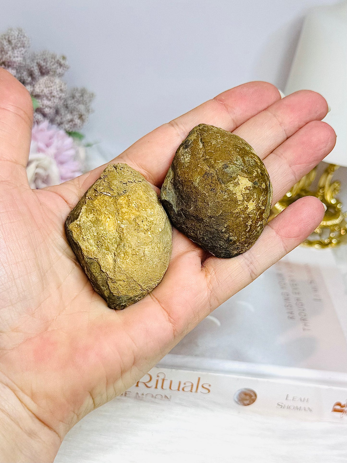 Septarian Nodule Pair Set