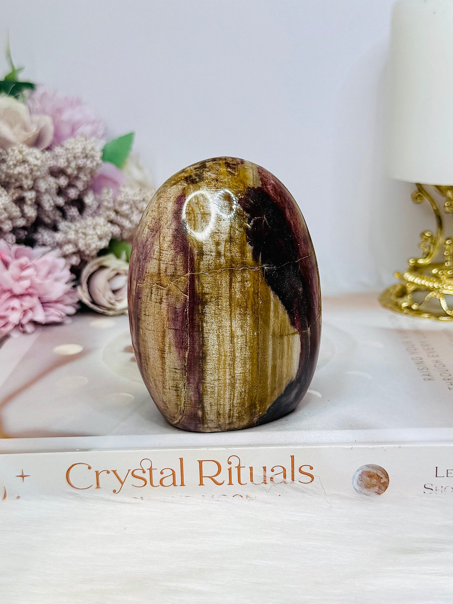 Petrified Wood Freeform 8.5cm 363g