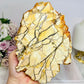 Large Natural Brecciated Mookaite Jasper Slab on Stand 16.5cm 459g