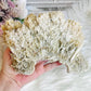 Large Natural Gypsum Selenite Specimen 21cm 578g