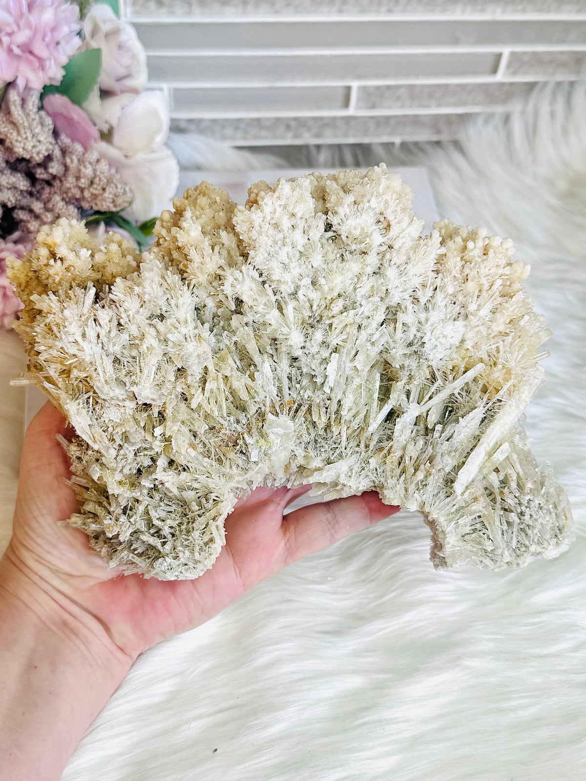 Large Natural Gypsum Selenite Specimen 21cm 578g