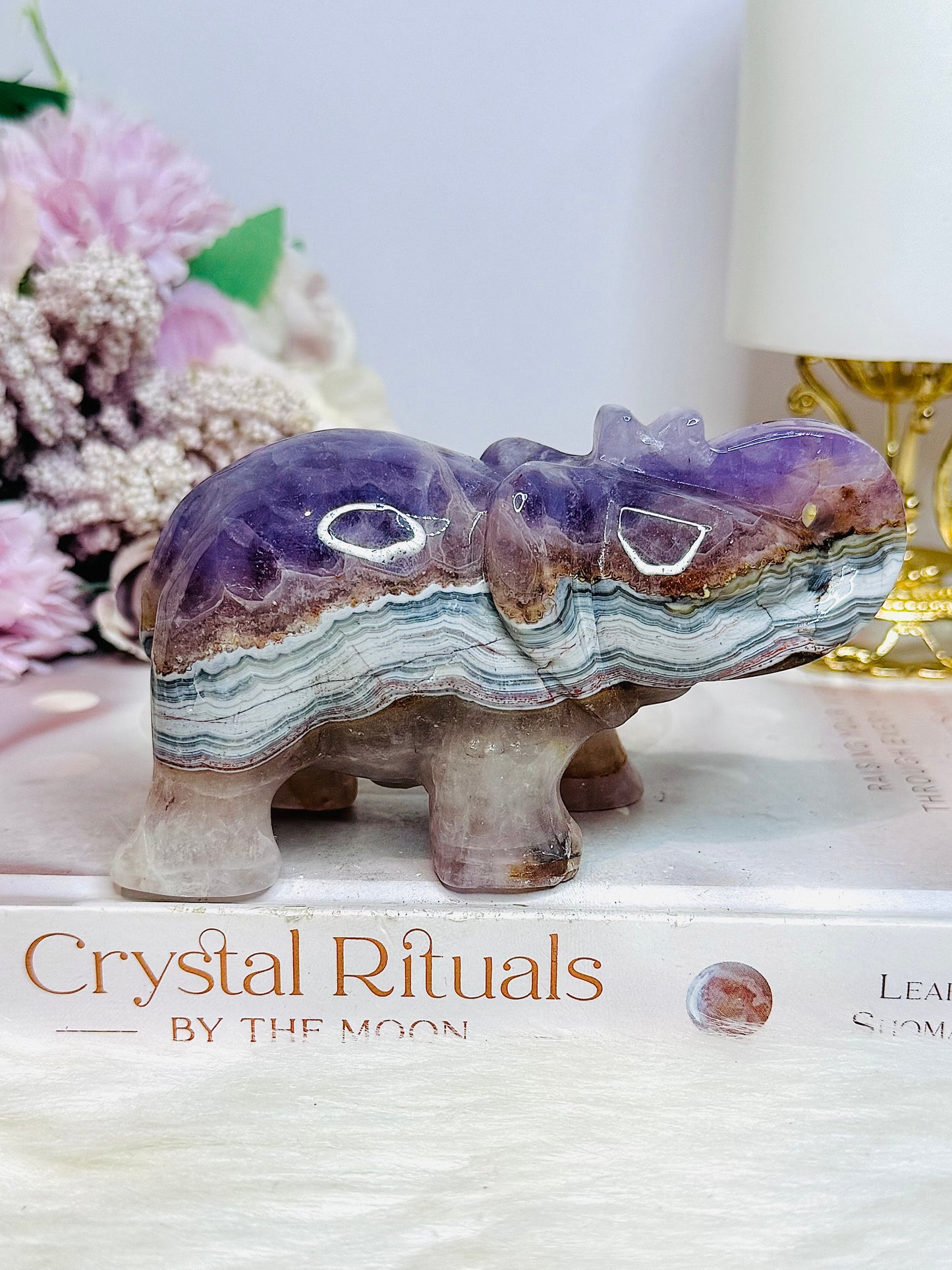 Amethyst X Mexican Lace Agate Elephant 11cm 367g