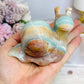 Caribbean Calcite Carved Snail 332g