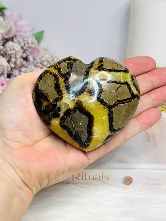 Chunky Large Septarian Heart 359g