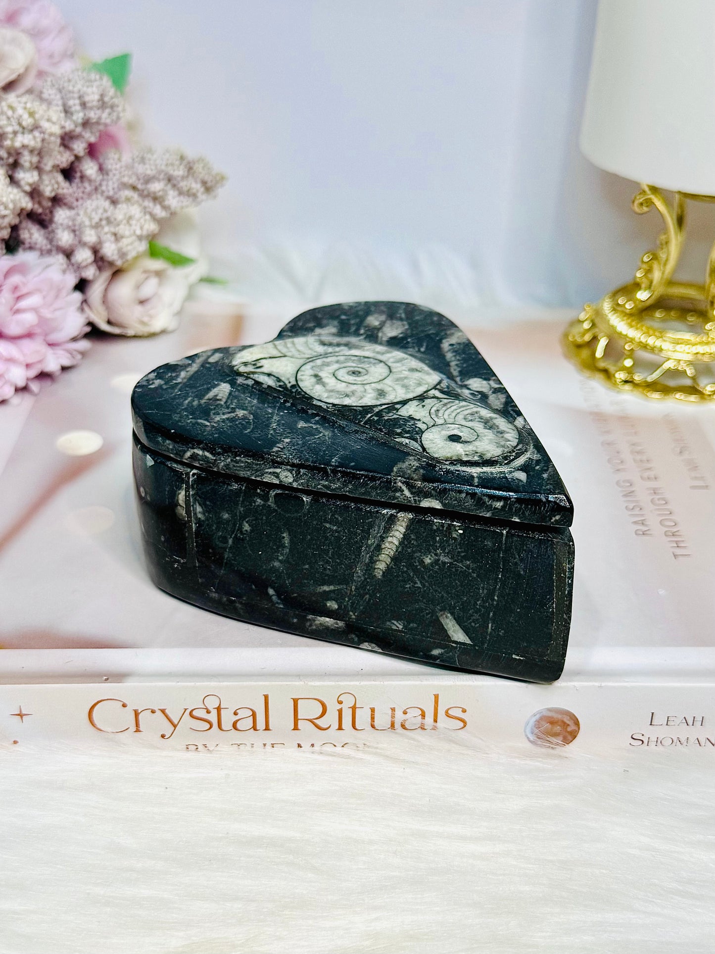 Ancient Fossil Orthoceras Heart Ammonite Jewellery Box 10cm 401g