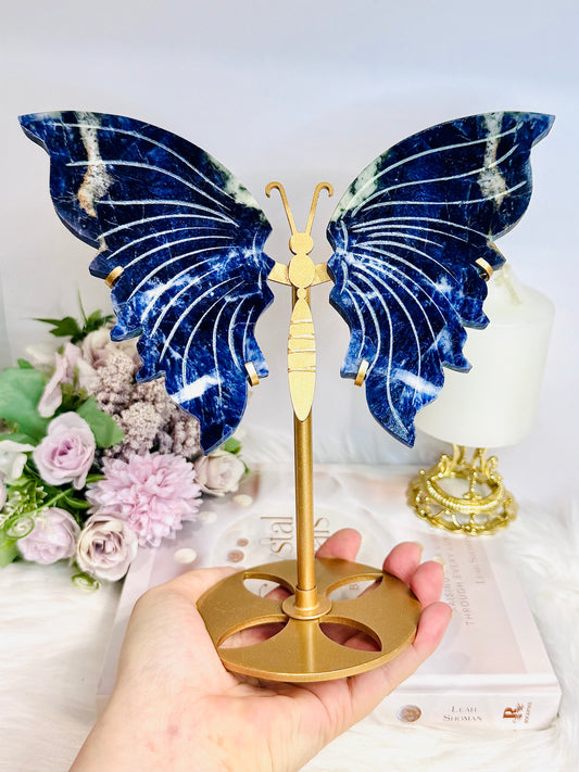 Large Blue Sodalite Carved Butterfly Wings on Stand 21.5cm