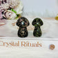 Set of 2 Mushrooms ~ Rhodonite & Dragons Blood