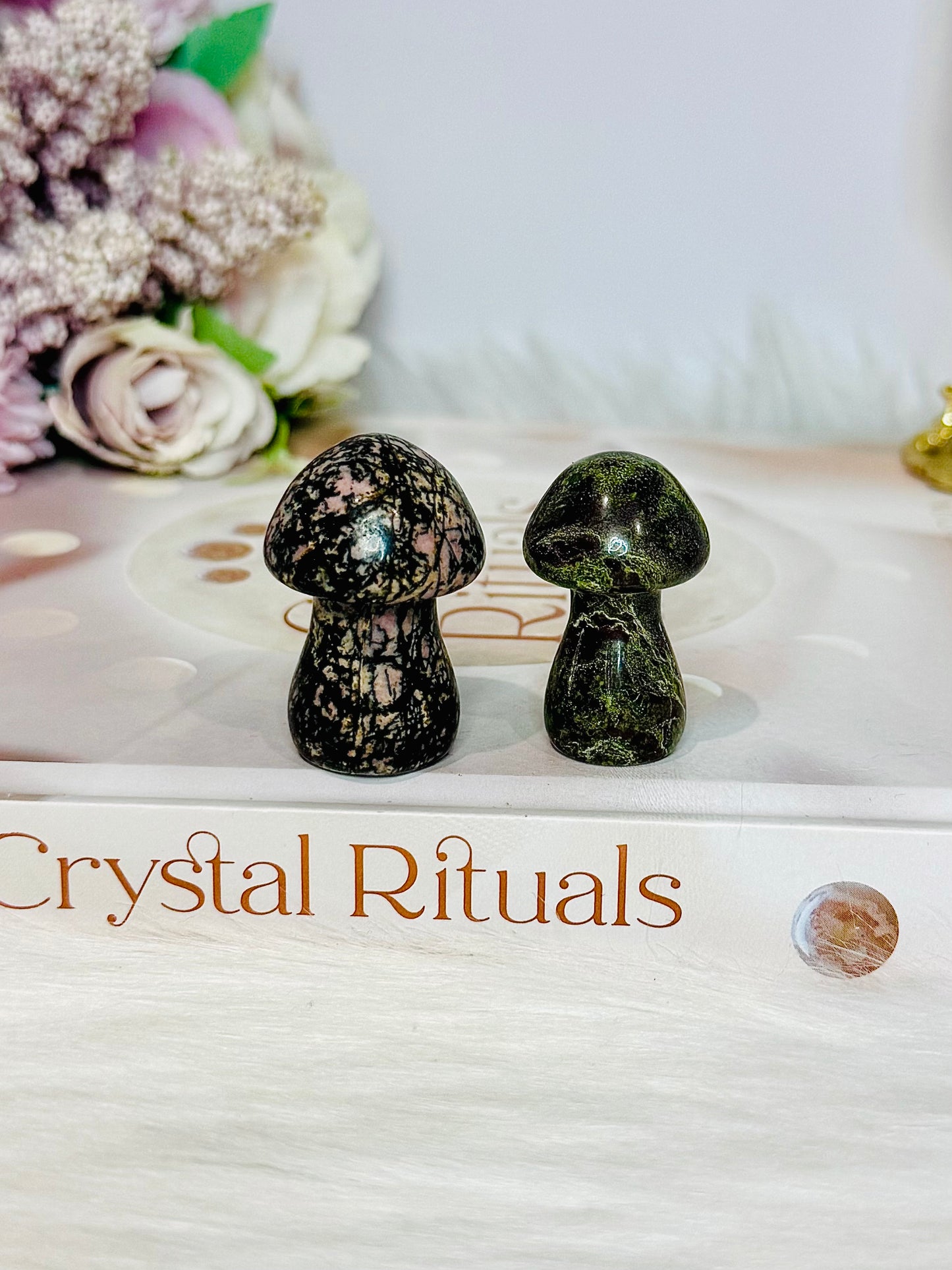 Set of 2 Mushrooms ~ Rhodonite & Dragons Blood