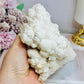 Natural Large White Aragonite | Cave Calcite Cluster Specimen 11cm 587g