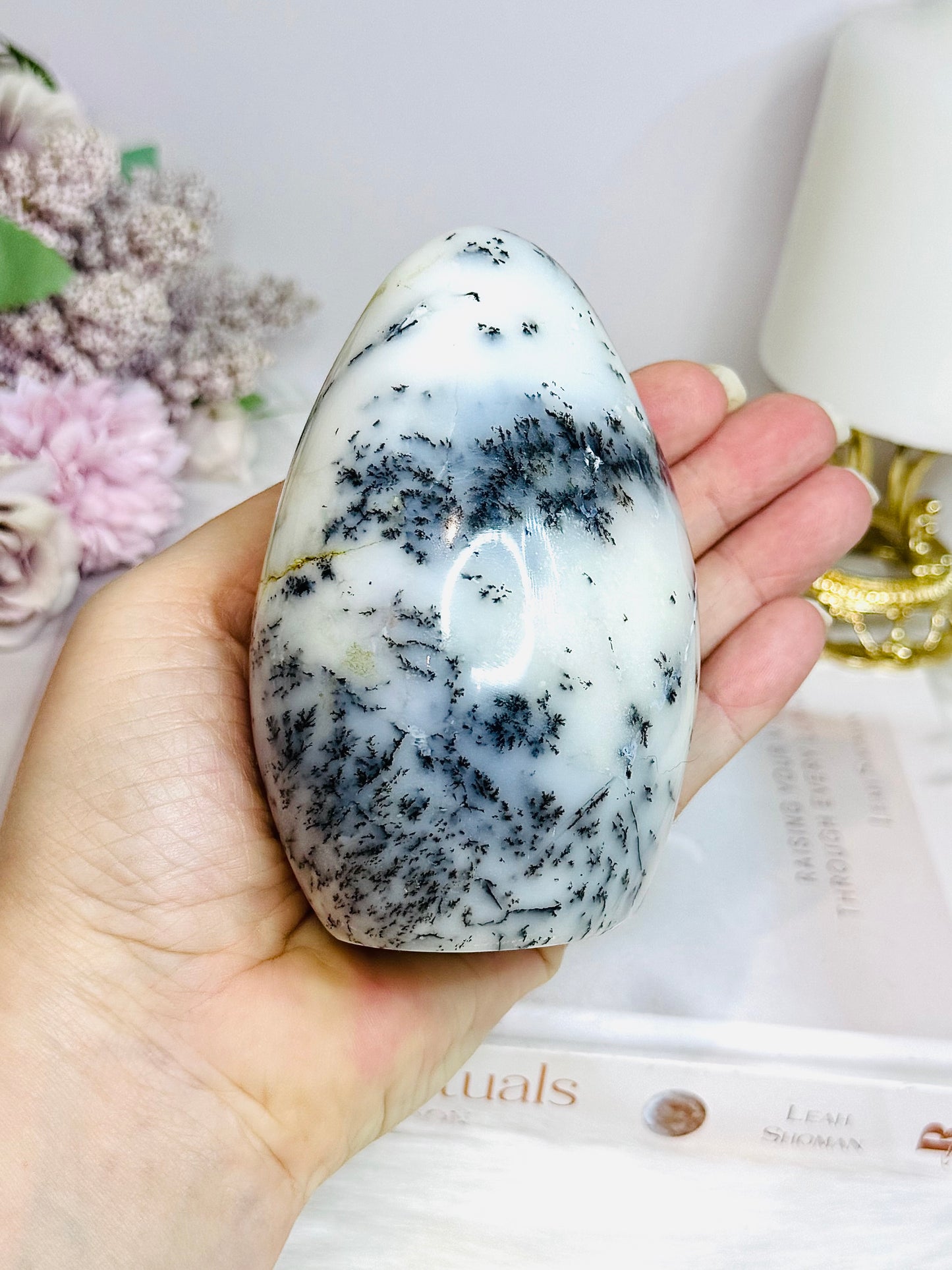 Dentrictic Opal Natural Freeform 10.5cm 487g