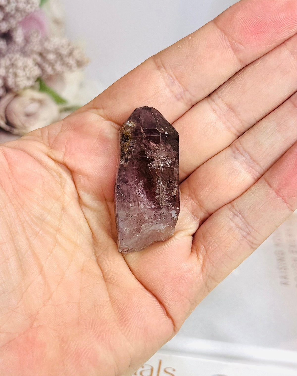 Super Seven Specimen 4.5cm