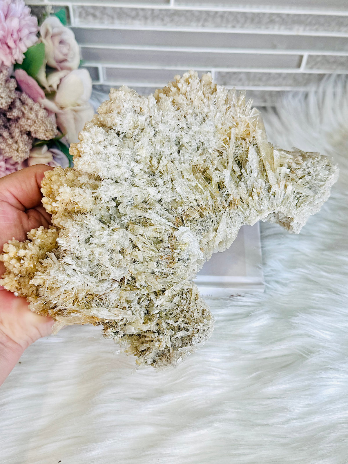 Large Natural Gypsum Selenite Specimen 21cm 578g