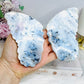 Dentrictic Opal Butterfly Wings on Stands 13cm