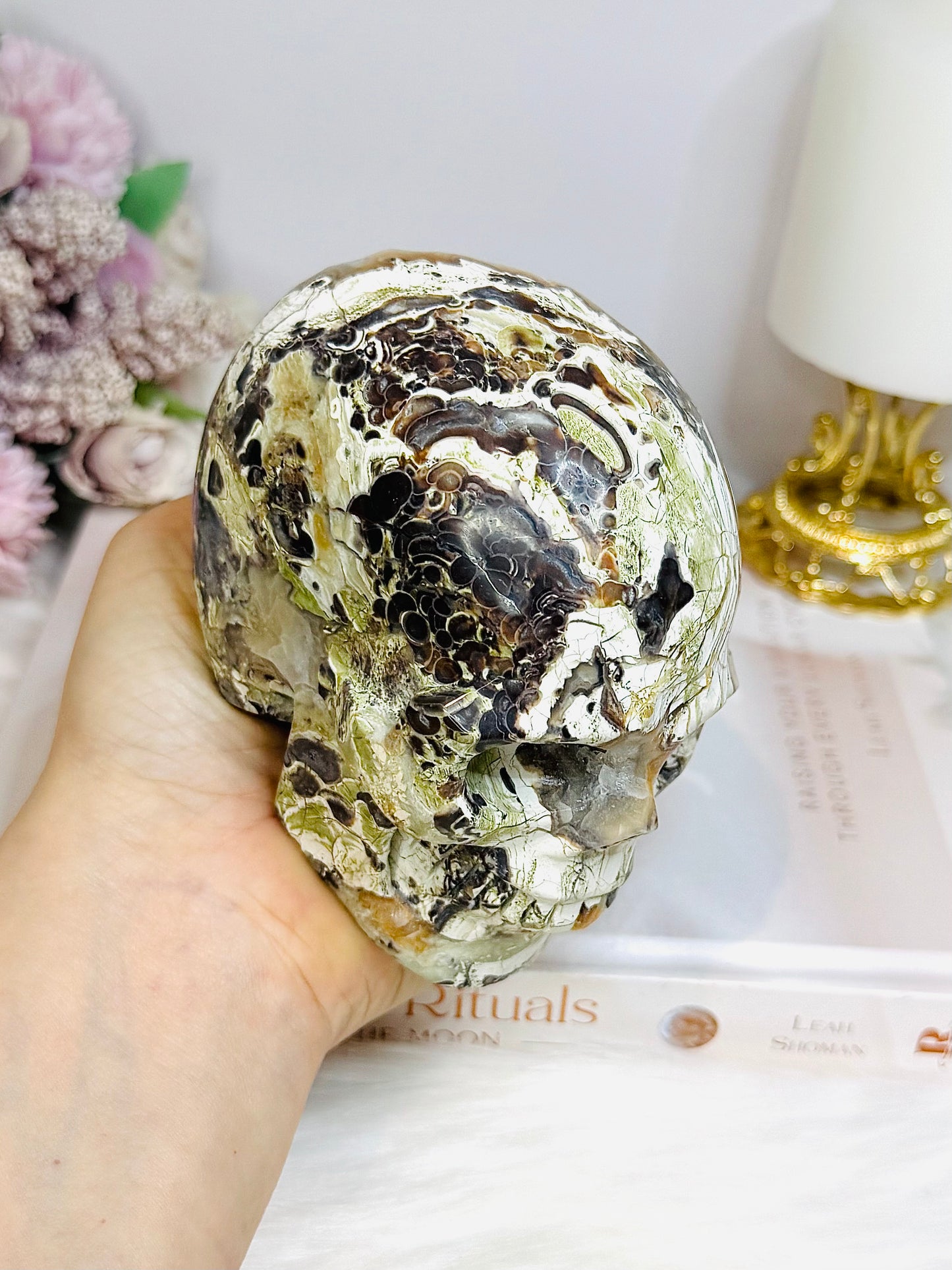 Large Money Agate Druzy Skull 751g