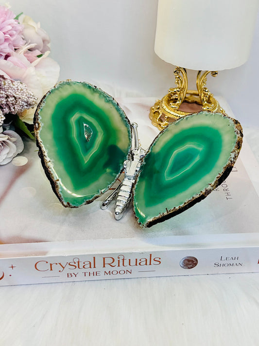 Amazing Large Druzy Green Agate Butterfly From Brazil 9cm