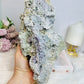 Huge Natural Grape Agate | Purple Chalcedony Specimen 26cm 2.15KG