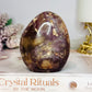 Petrified Wood Chunky Freeform 379g