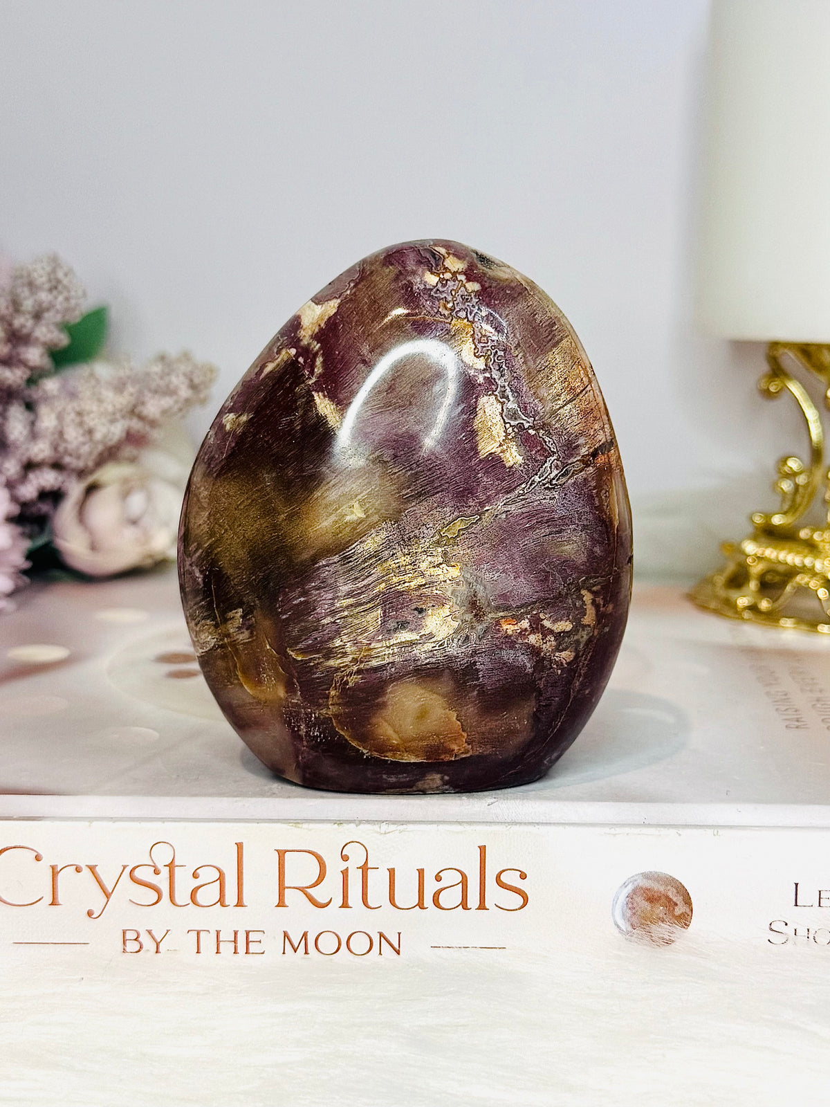 Petrified Wood Chunky Freeform 379g