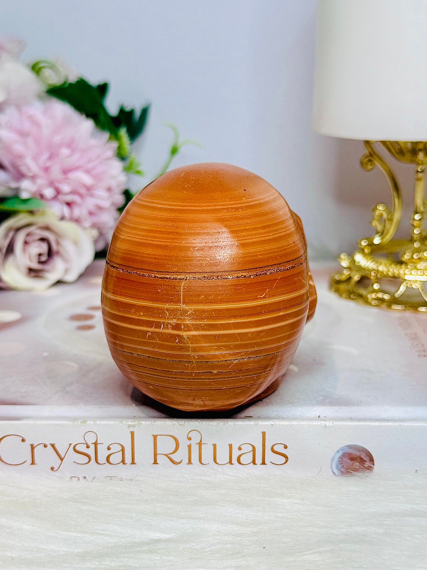 Large Jasper Carved Skull 404g