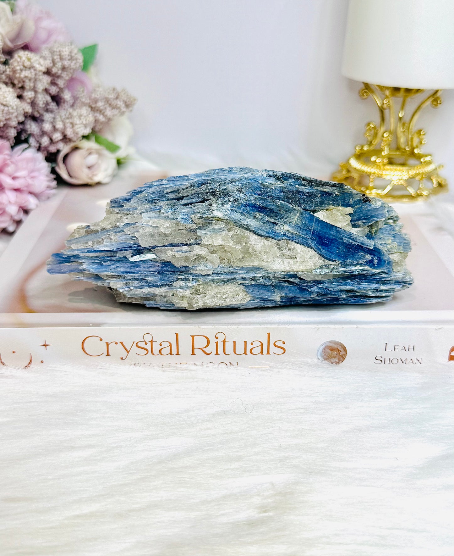 Large Blue Kyanite Freeform 459g 14cm