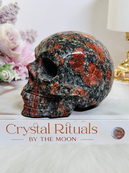 Large 544gram Red Brecciated Jasper Carved Skull