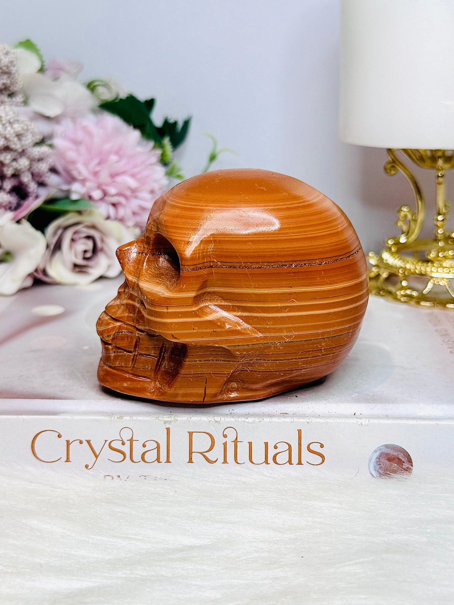 Large Jasper Carved Skull 404g