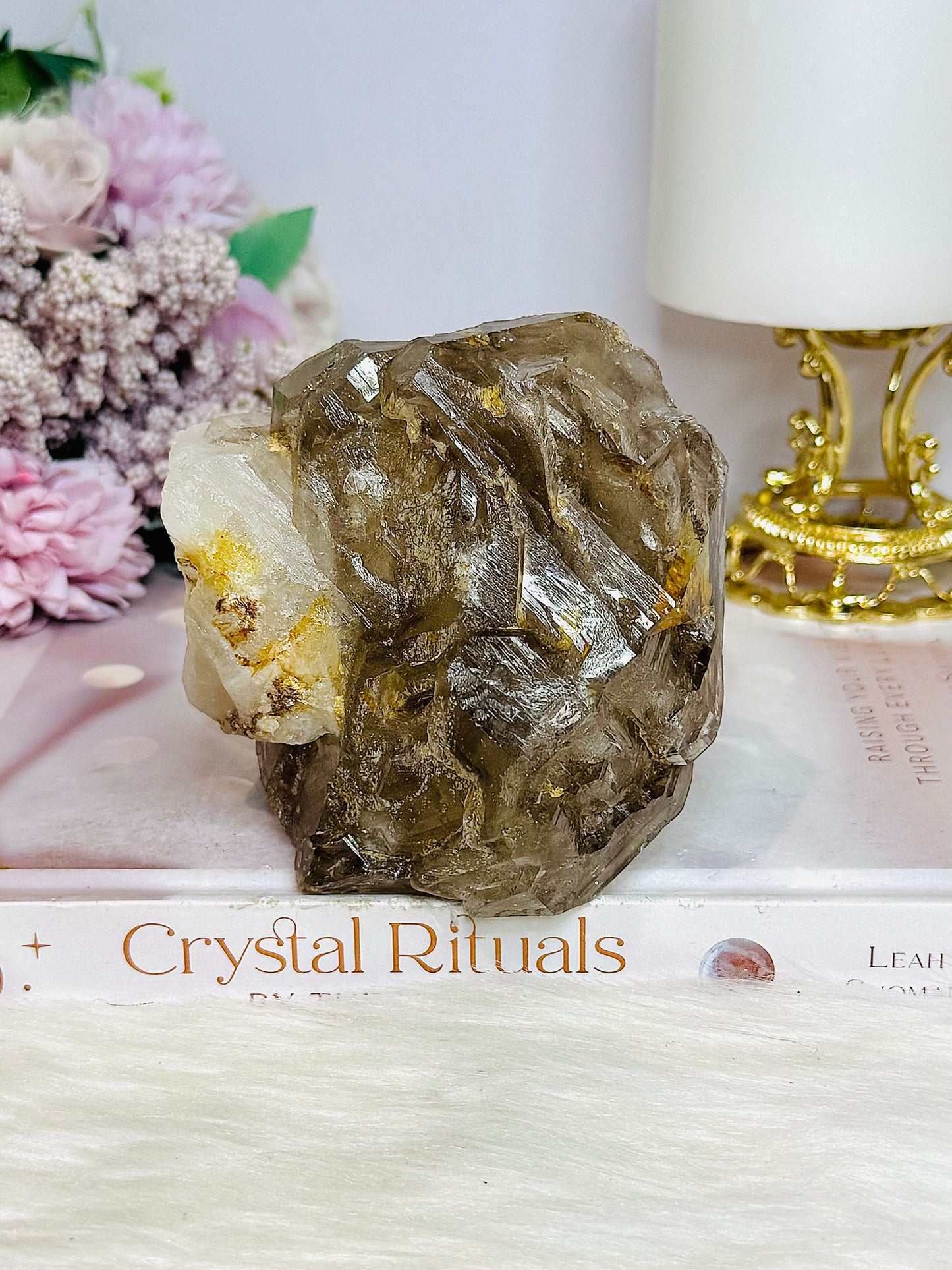 ⚜️ SALE ⚜️ Large Natural Elestial | Alligator Quartz Specimen 504g