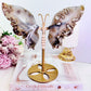 Wow!!! Stunning Large 21cm (Inc Stand) Druzy Black Flower Agate Carved Butterfly Wings on Gold Stand