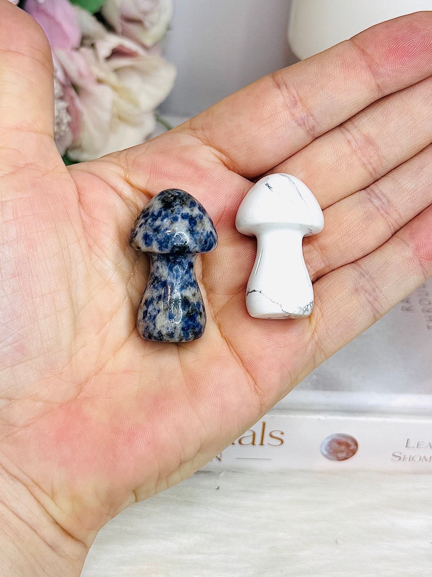 Set of 2 Mushrooms ~ Sodalite & Howlite