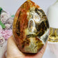 Large Petrified Wood Freeform 11.5cm 710g