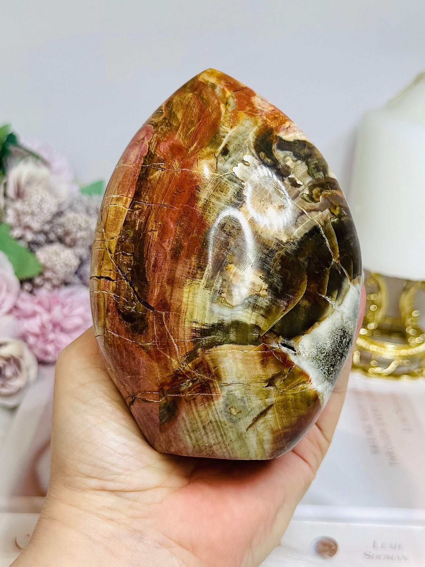 Large Petrified Wood Freeform 11.5cm 710g