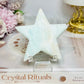 Large Caribbean Calcite Star on Stand 8cm (small chip on one point)